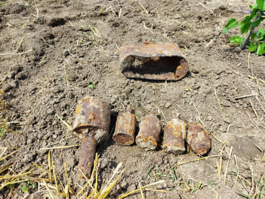  Боеприпасы времён Великой Отечественной войны найдены в Новоаненском районе во время поисковых работ