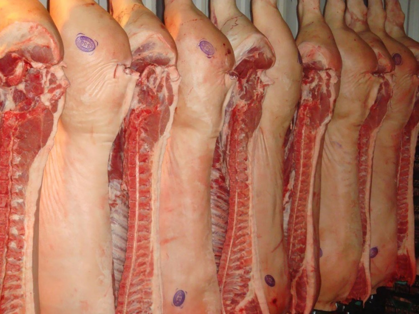 Россия запретила ввоз свинины из Молдовы из-за свиной чумы