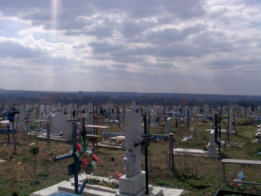 Доступ частного транспорта на кладбища столицы будет запрещен 