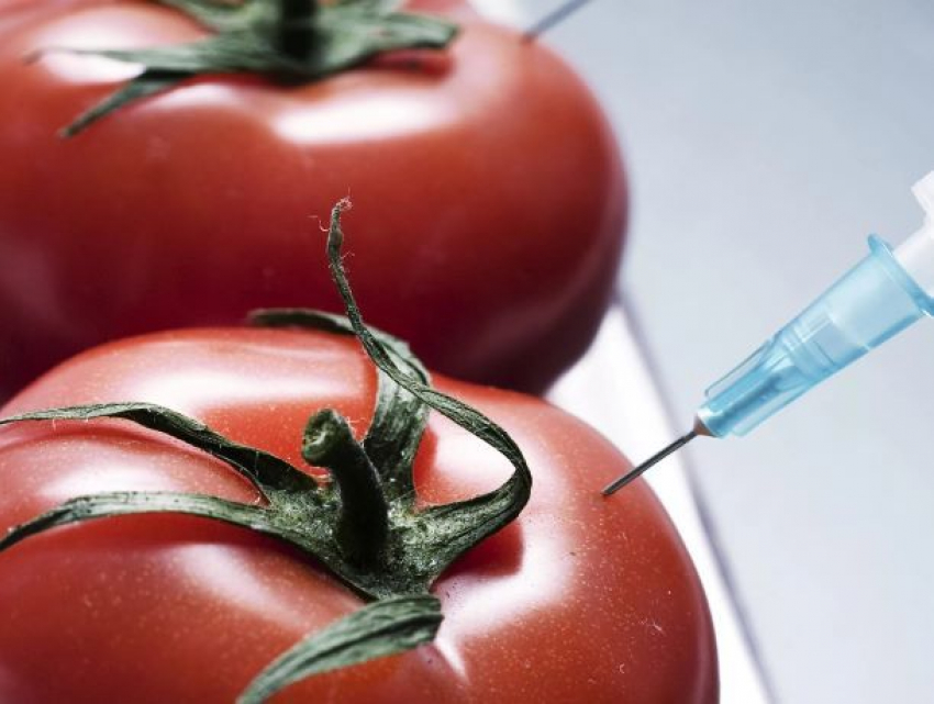 ГМО-товары разместят на отдельных полках магазинов