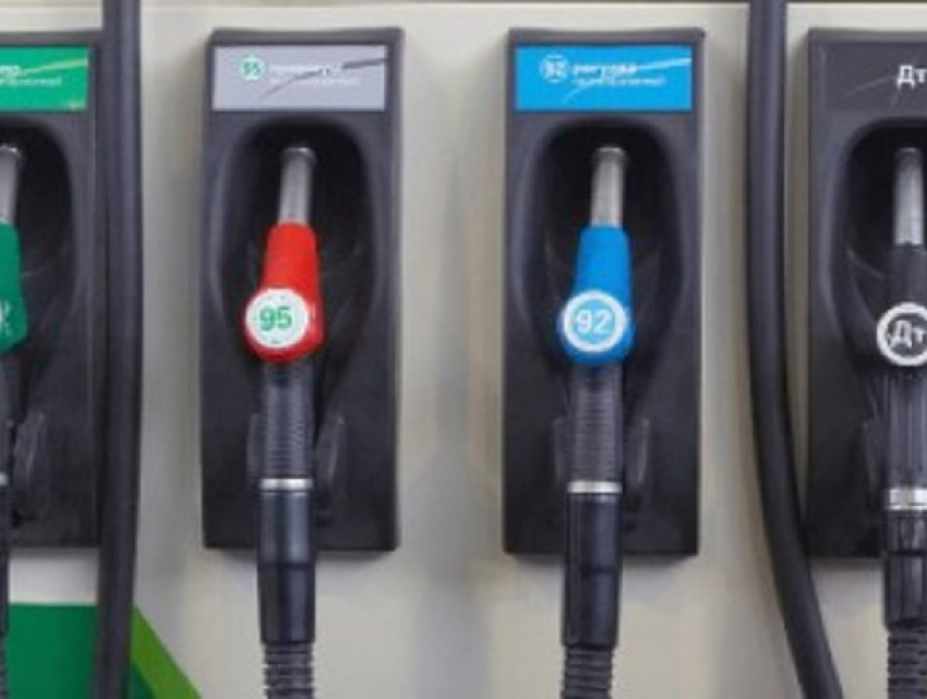 В Молдове запущена онлайн-платформа e-Carburanți - можно проверять наличие топлива