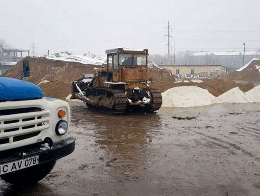 Застигнутая врасплох Сильвия Раду объявила мобилизацию