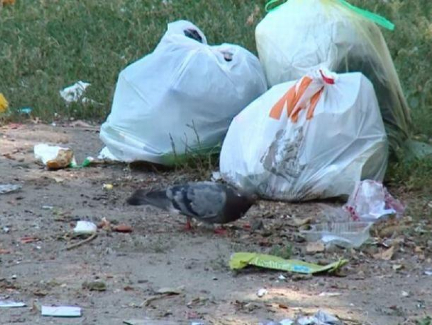 Зеленую зону в самом центре Кишинева превратили в свалку