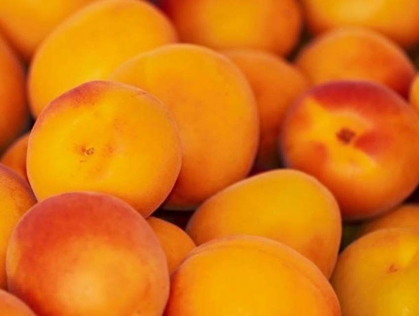 Жители Германии впервые смогли попробовать молдавские абрикосы и черешню