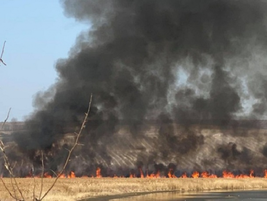 В Фэлештах супруги подожгли сухую травму и устроили пожар, унесший жизнь мужчины