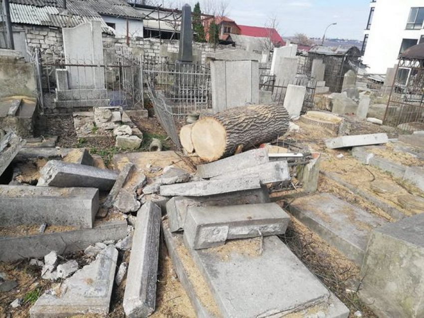 Реставрация еврейского кладбища обернулась лесозаготовками: в процессе рубки деревьев повреждено более сотни надгробий  