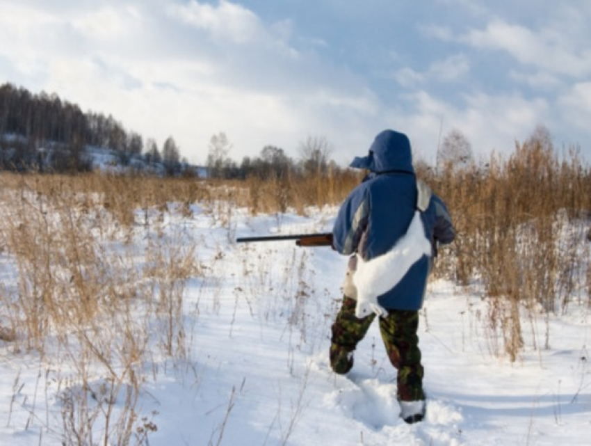 Комбатанты, берегитесь: в Приднестровье открывается охота на пушистиков