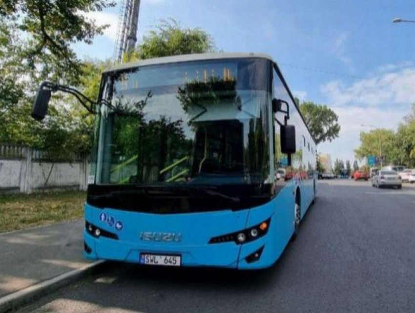 Количество автобусов в Кодру будет увеличено