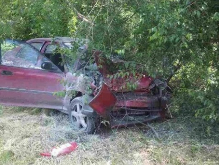 Водитель Honda чудом уцелел после ДТП с деревом в Кишиневе 