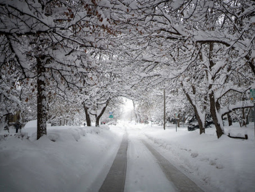 Воскресенье в Молдове будет снежным и ветреным 