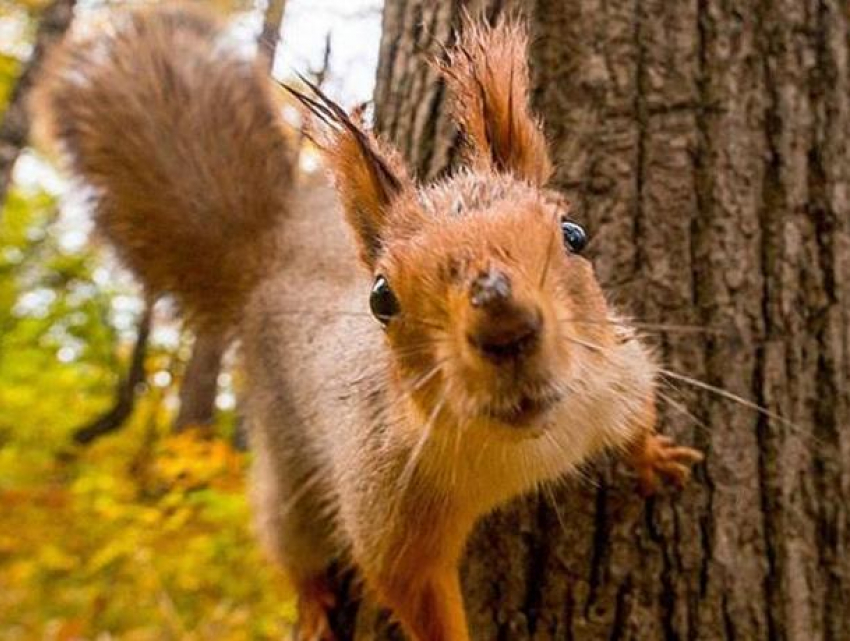 Пятница в Молдове будет по-летнему теплой 