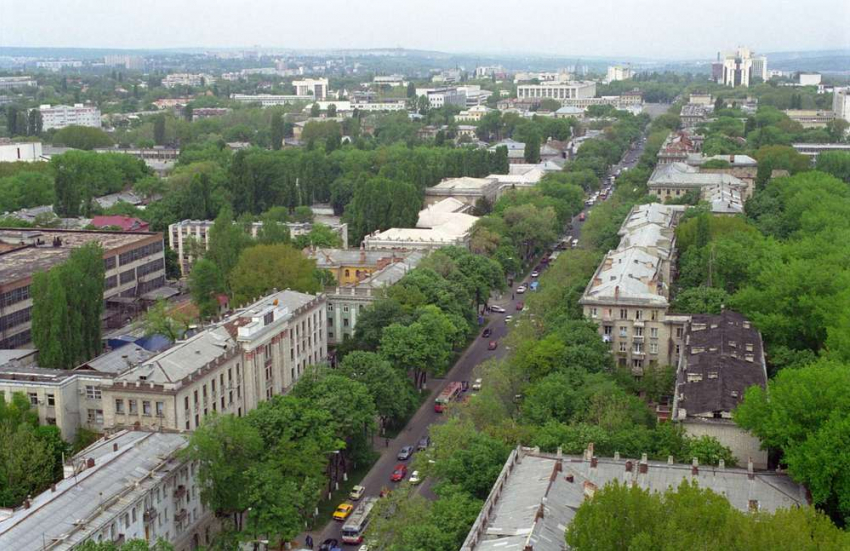 В примэрии Кишинева пройдут публичные дебаты по регламенту о защите зеленых насаждений