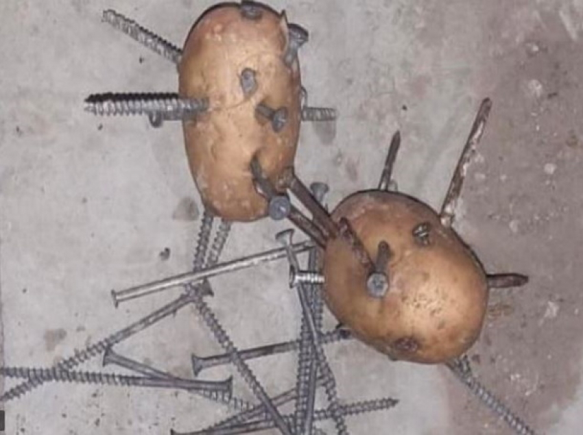 Картофель с гвоздями разбросан на дороге у КПП Паланка