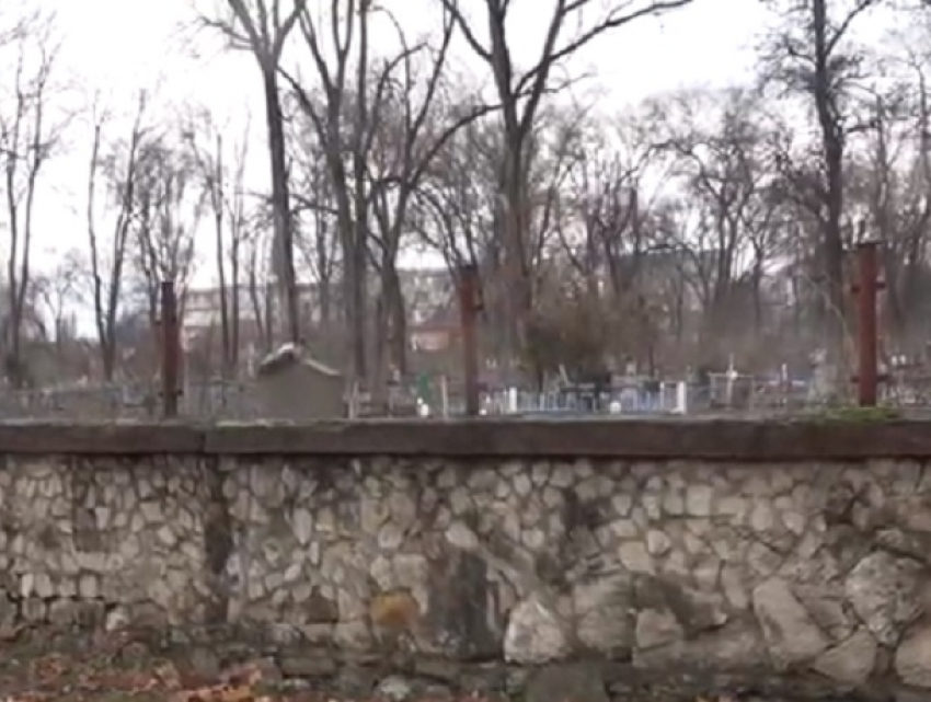 В Бельцах деревья обвинили в разрушении старинного кладбища