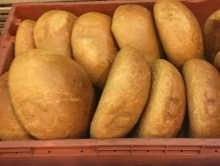В Чадыр-Лунге 600 человек будут получать социальный хлеб 
