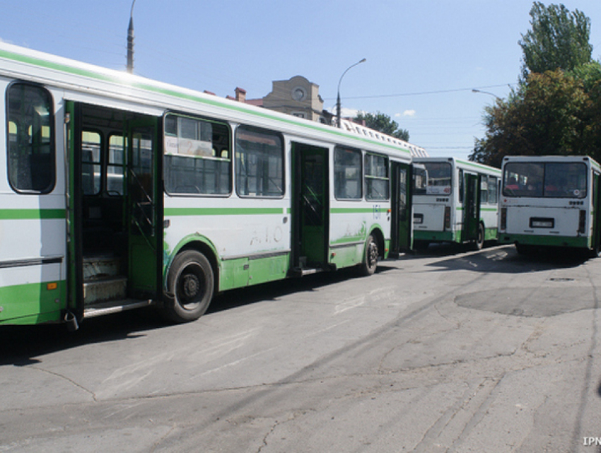 В Родительские дни до кладбища «Святого Лазаря» будут курсировать бесплатные автобусы