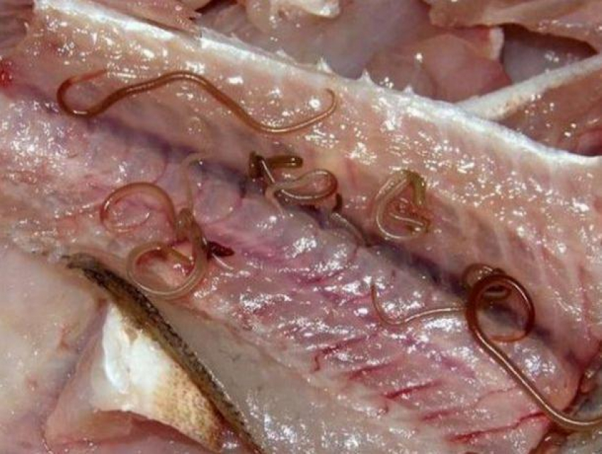 В Кишиневе может исчезнуть с прилавков вся дешевая рыба