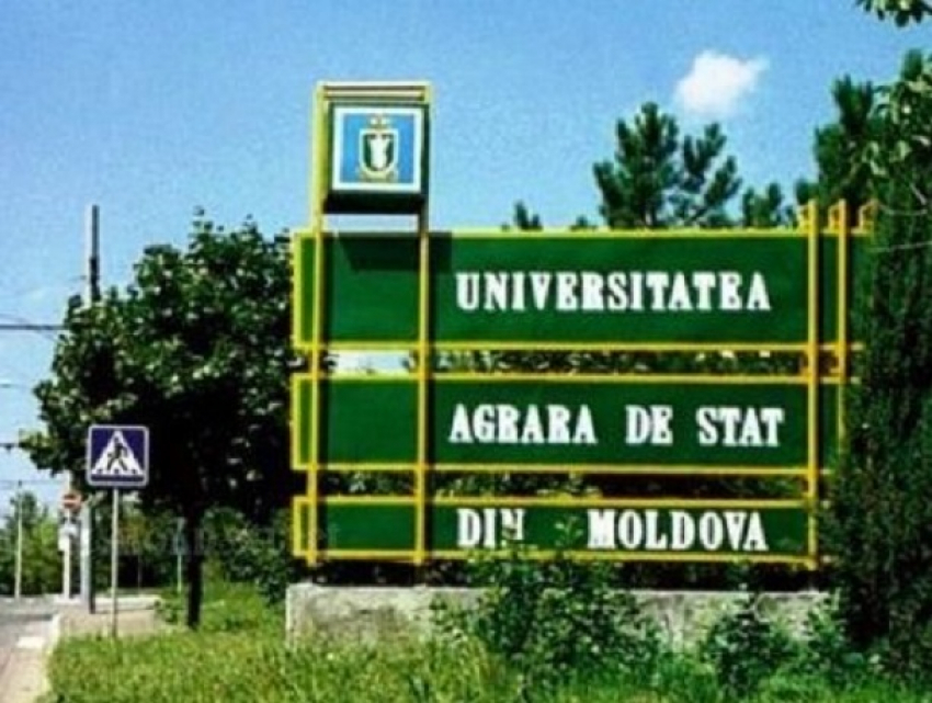 Выяснилась тройка самых сильных молдавских университетов