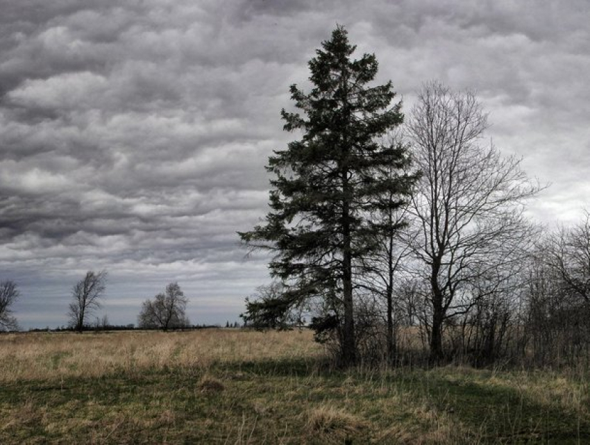 В ночь на пятницу ожидается до 10 градусов мороза: погода в Молдове 