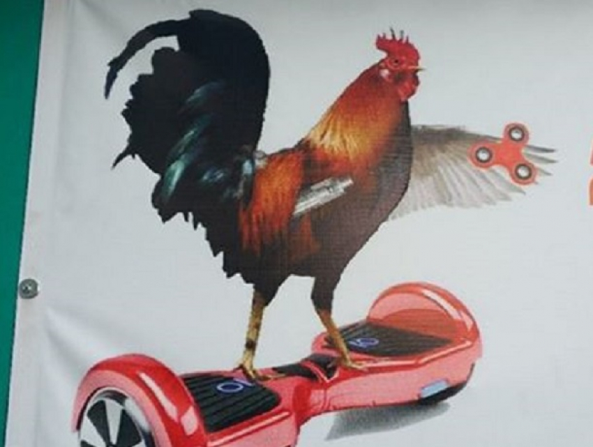 «Беспощадный» петух на гироскутере со спиннерами насмешил жителей столицы Молдовы