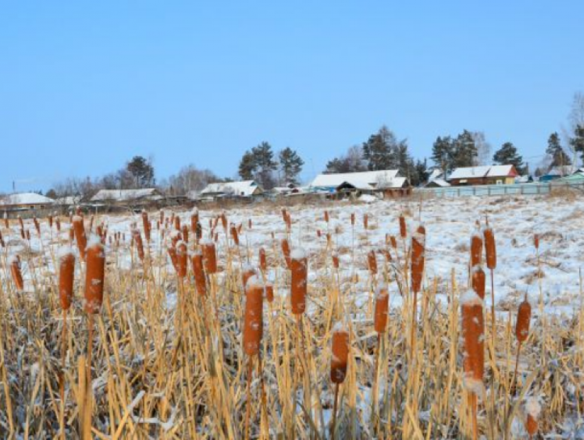В Бричанах мужчина пырнул двух братьев и бросил их в поле