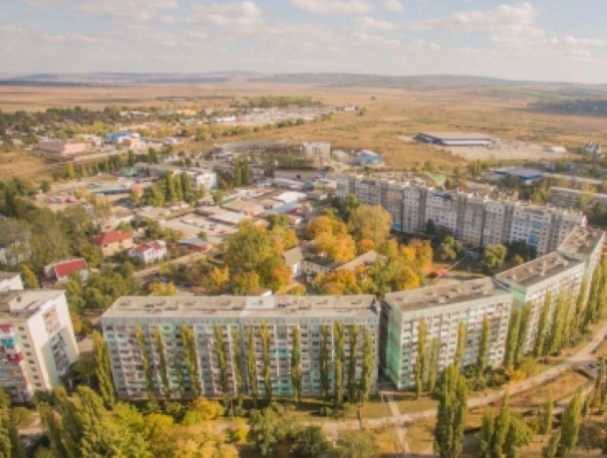 Шок: в Бельцах, во дворе жилых домов, освежевали собаку