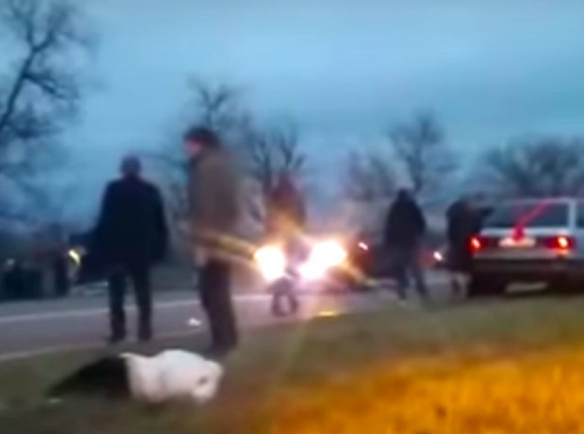 Свадебный кортеж разбился в Приднестровье, много пострадавших: шокирующее видео