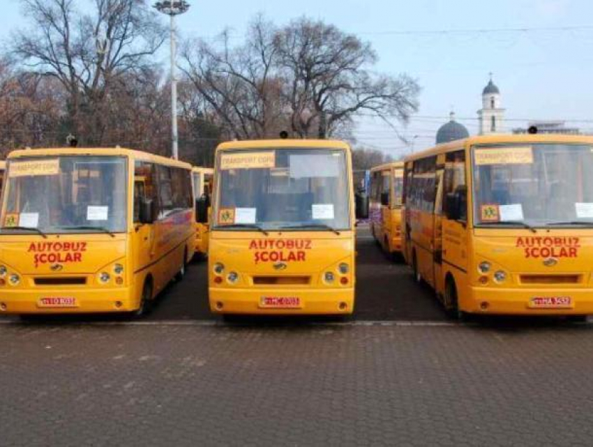 В школьных автобусах может появиться спецсопровождающий