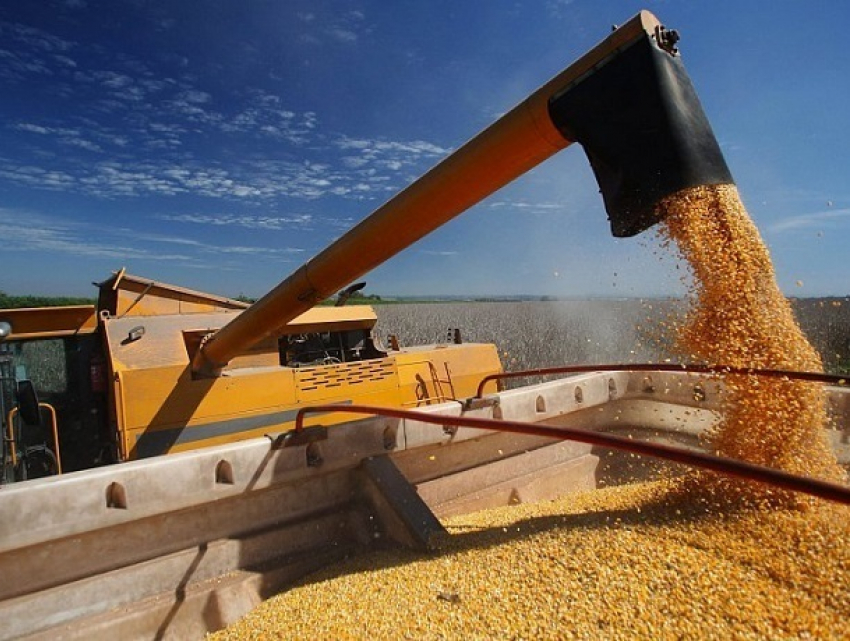 Сухогруз с молдавской кукурузой заблокировали в американском порту  