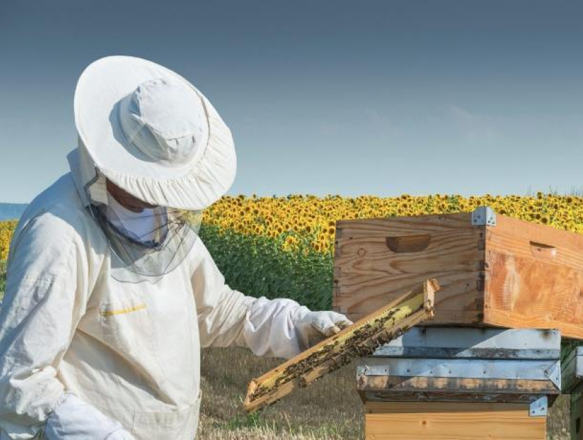 Молдавские пчеловоды приняли участие в форуме в Кишиневе