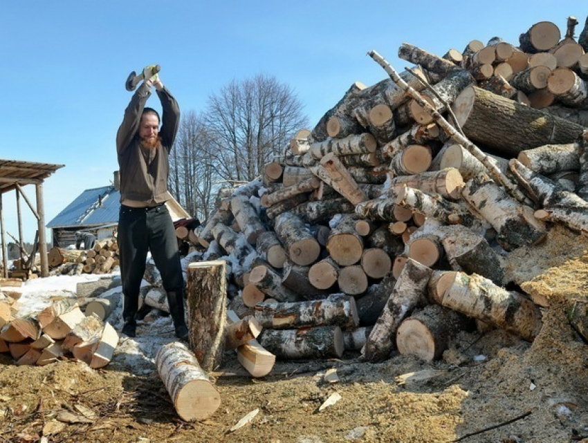 Цены на дрова на этот отопительный сезон объявило агентство Moldsilva