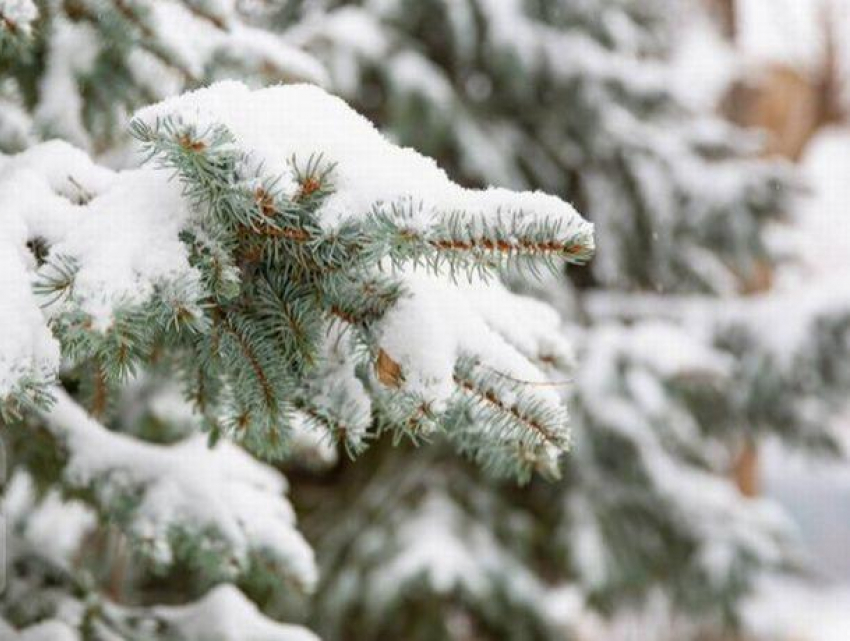 Минусовые температуры будут доминировать в следующие дни, но не на юге страны