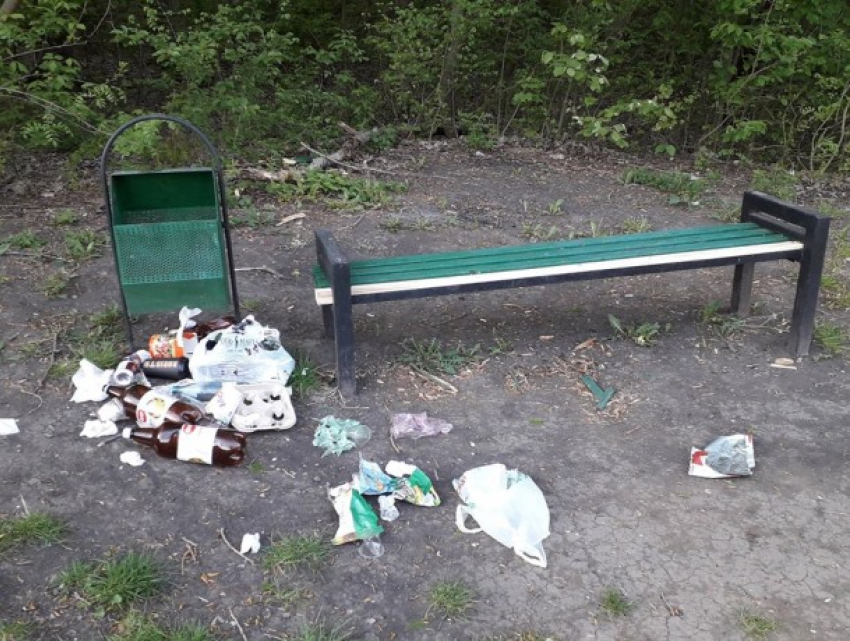 Парки, мусор, Кишинев - «фото-этюд» нашей посткарантинной действительности