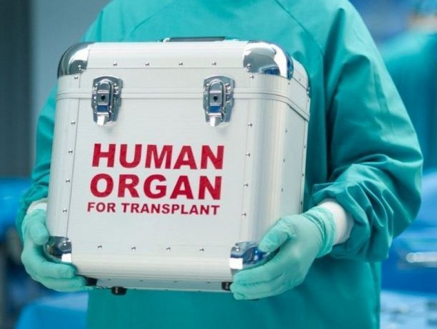 Что означает присоединение РМ к европлатформе по трансплантации органов?