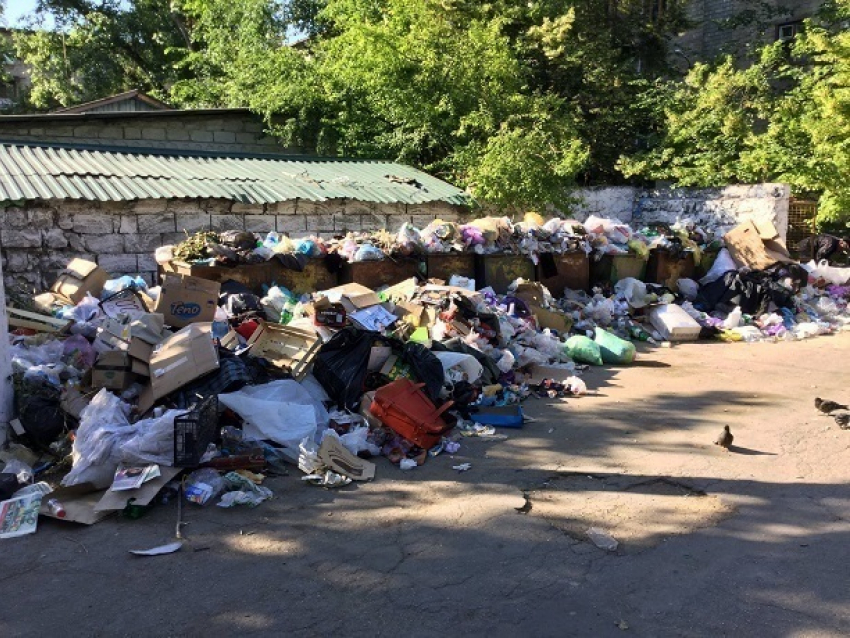 "Мерзко пахнущие» горы мусора в Кишиневе запечатлели возмущенные горожане