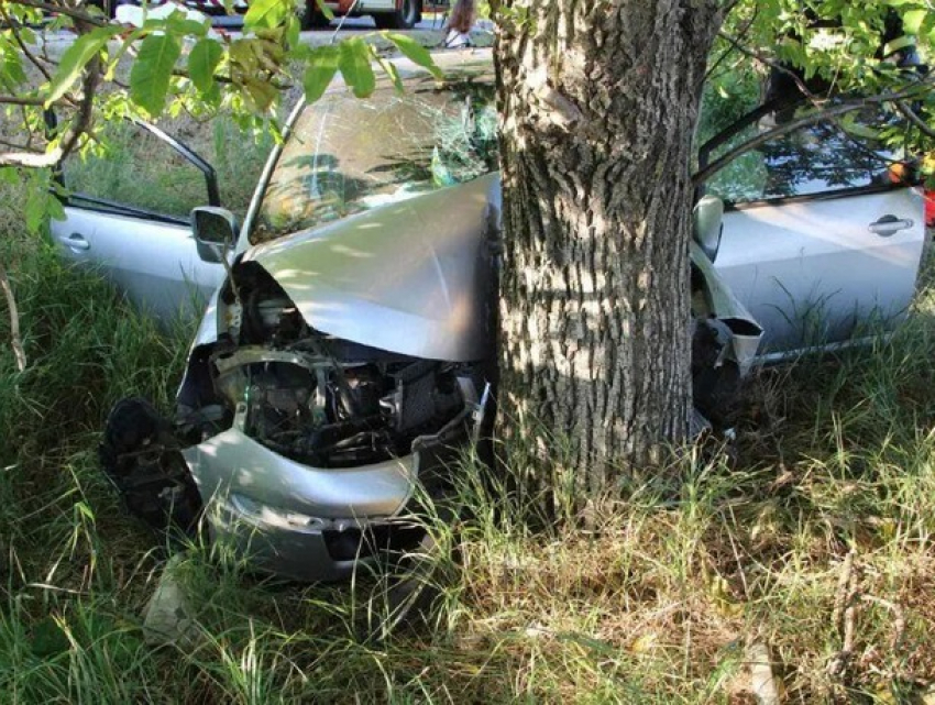 Автомобиль с украинскими беженцами врезался в дерево: один человек погиб