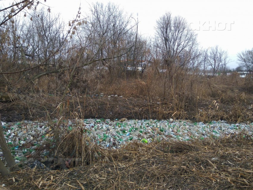 В Кишиневе состоится субботник по очистке реки Бык от бутылок и другого мусора 
