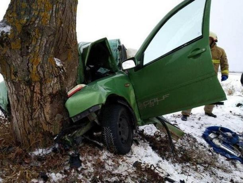 Автомобиль врезался в дерево в Унгенском районе: пострадала молодая женщина-водитель