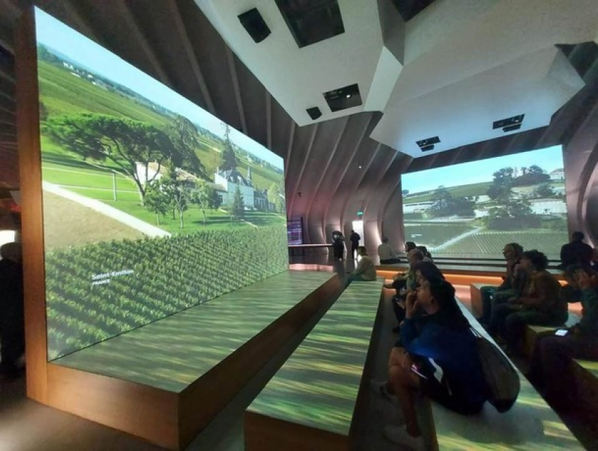 Молдова создаст собственный Музей вина