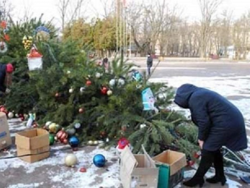 Украинцы повалили на землю и разграбили главную новогоднюю ёлку города