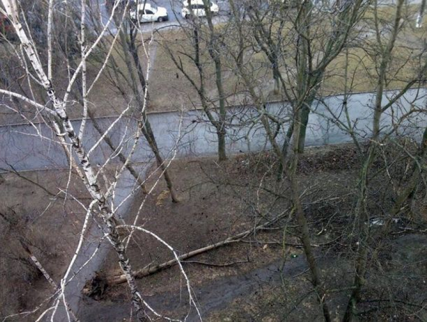 Во вторник в Молдове будет тепло и облачно: ветер слегка утихнет