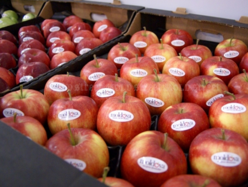 Молдова лидирует - на этот раз в повышении цен на яблоки