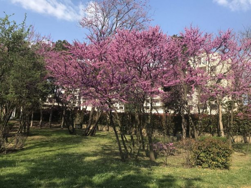 В пятницу в Молдове будет тепло и облачно, в выходные снова похолодает 