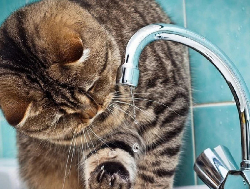 Некоторые жители столицы останутся в пятницу без воды 