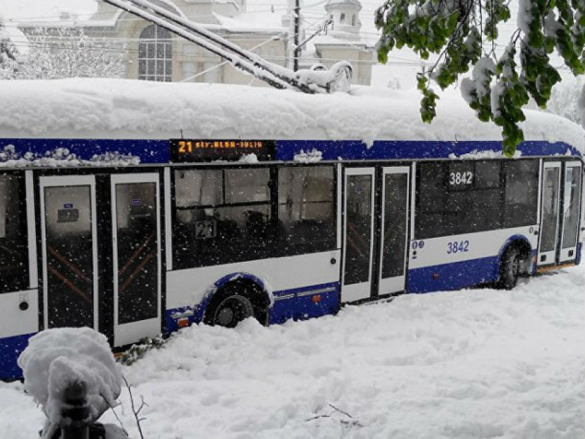 Отсутствие зимних шин на столичных троллейбусах рассердило Сильвию Раду