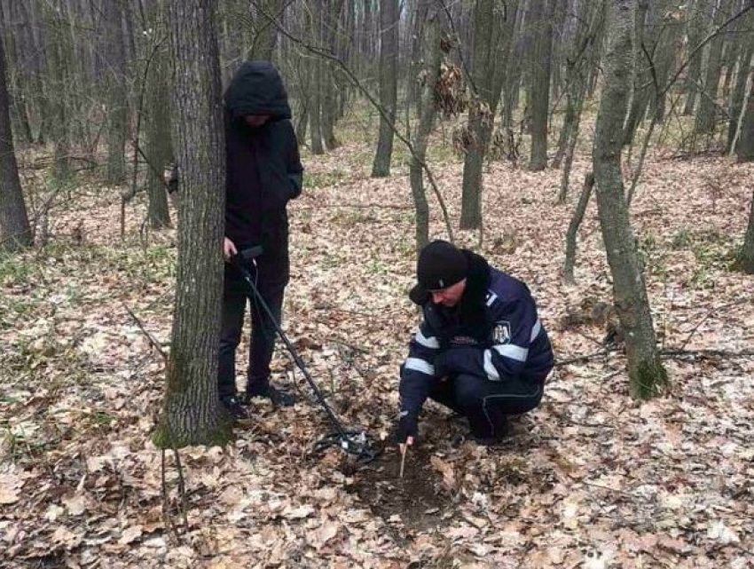 Полиция установила личности вандалов, убивших благородного оленя в заповеднике «Кодры»