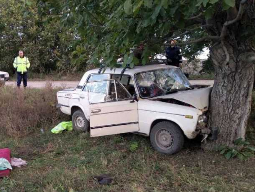 Автомобиль врезался в дерево в Фалештах: пострадали два человека