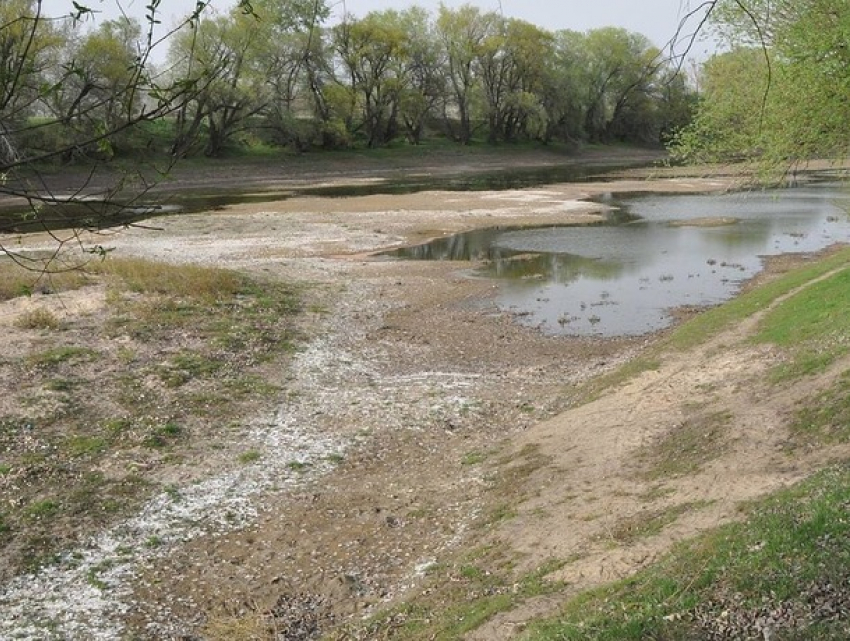 Граждан Молдовы призывают экономить воду