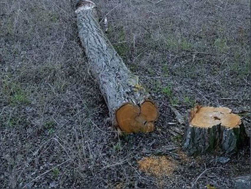 Безнаказанность рождает вседозволенность, а вседозволенность  рождает беспредел...