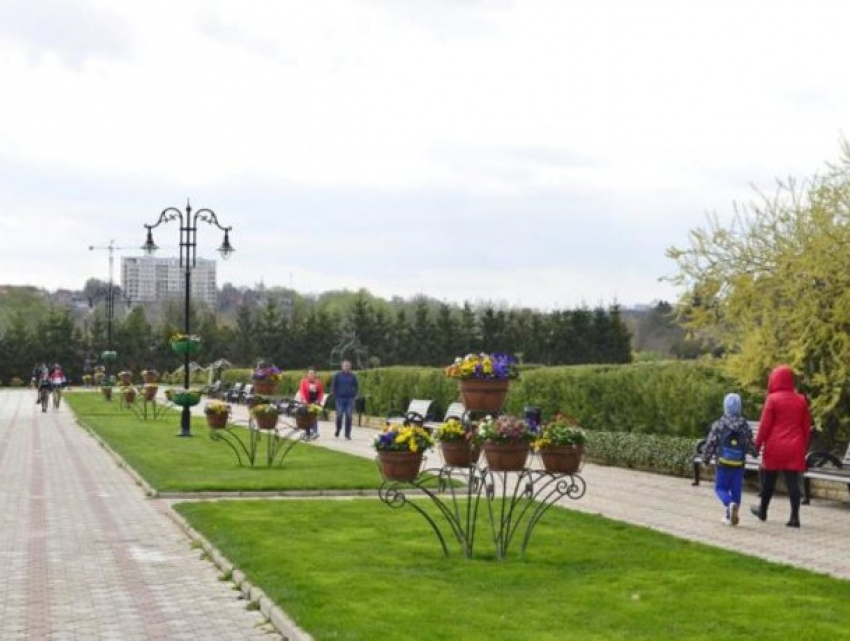 Подорожали прогулки в Дендрарии